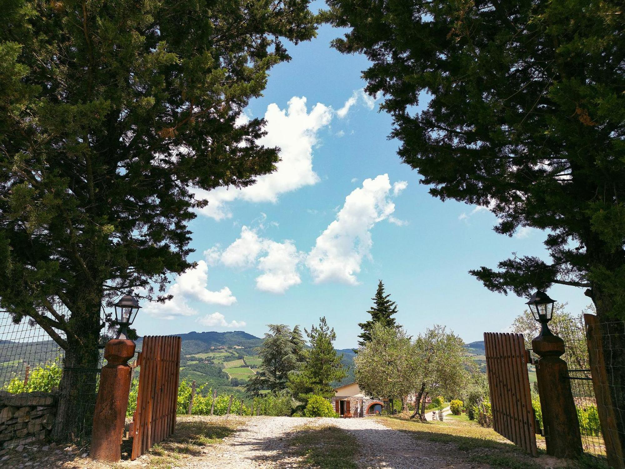 Tenuta Il Poggetto Рада ин Шанти Экстерьер фото