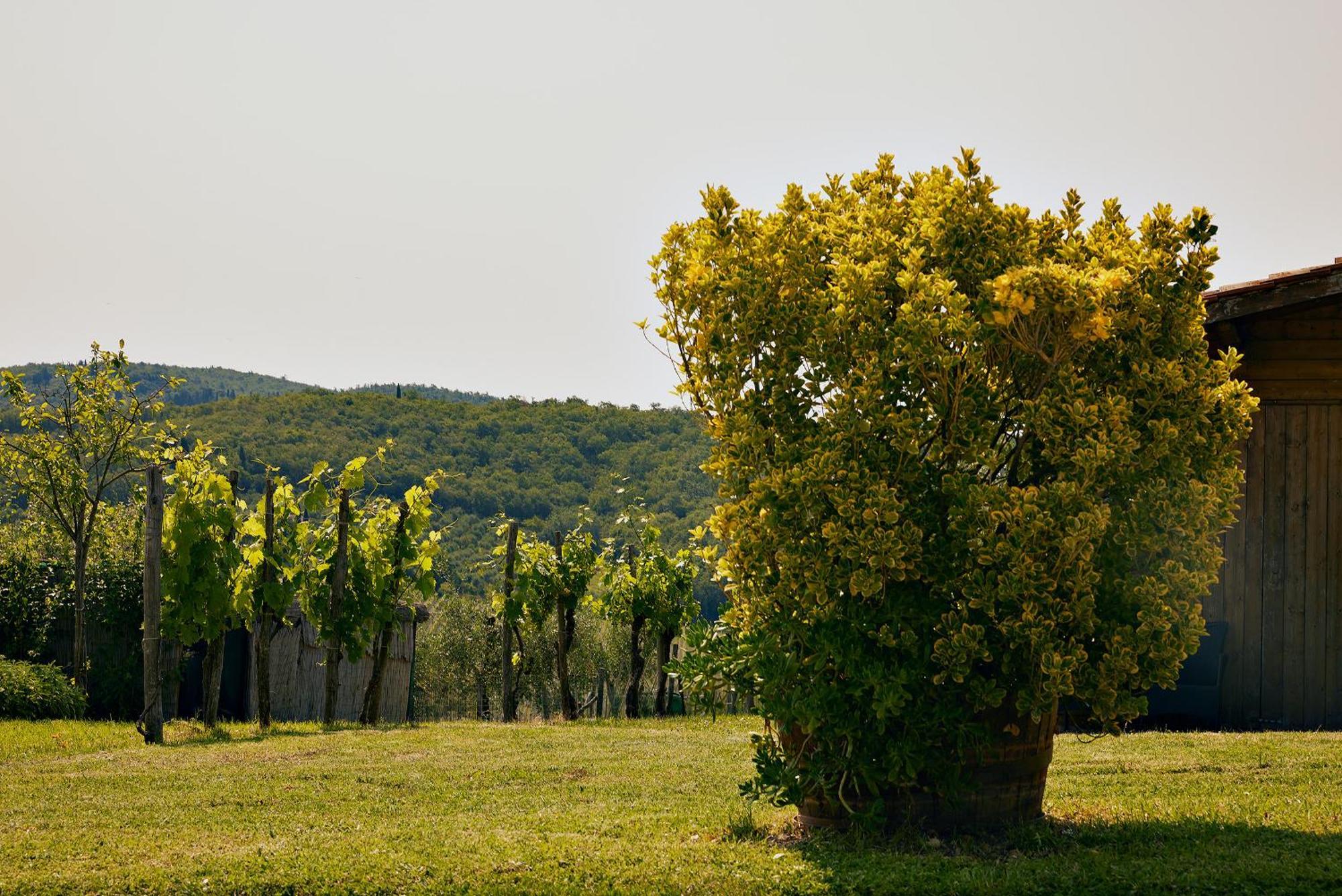 Tenuta Il Poggetto Рада ин Шанти Экстерьер фото